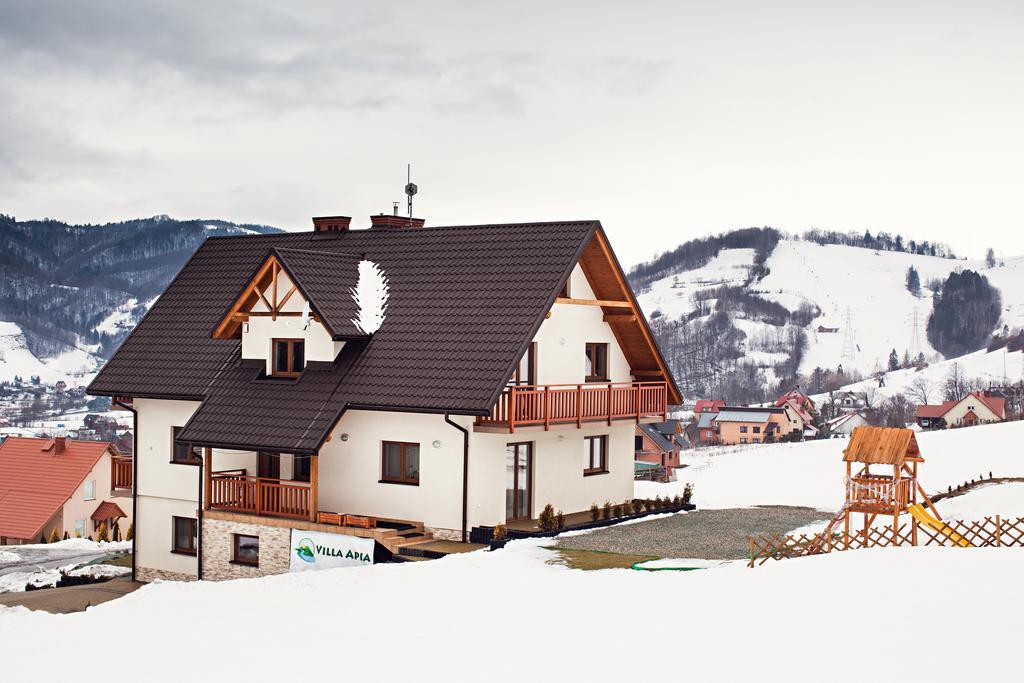 Villa Apia Piwniczna-Zdroj Bagian luar foto